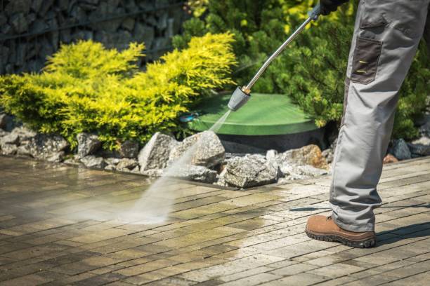 Animal Enclosure Cleaning in Lake Don Pedro, CA