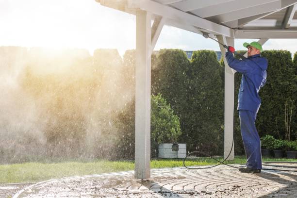 Best Roof Washing  in Lake Don Pedro, CA